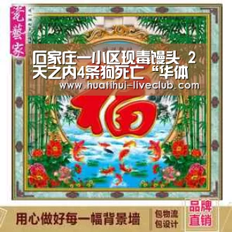 华体会电竞赛事