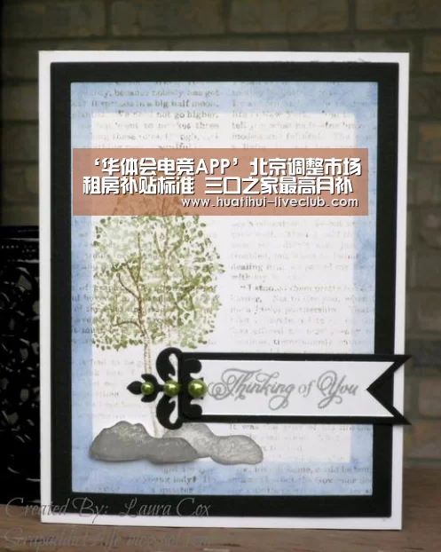 ‘华体会电竞APP’北京调整市场租房补贴标准 三口之家最高月补3500元(图4) 华体会电竞APP